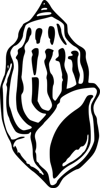COLOP